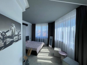 Engels apartments - studio luminos